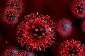 Update on the coronavirus